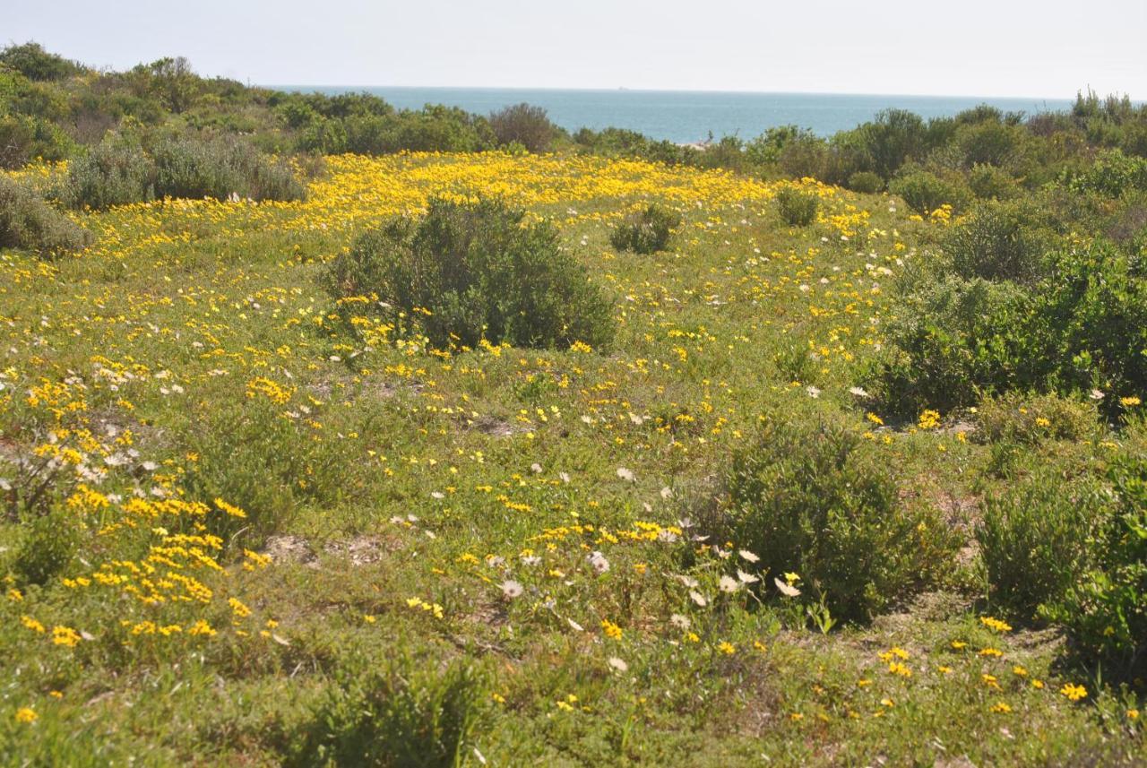 Stay At Bokkoms In Paternoster Self Catering Accommodation Buitenkant foto