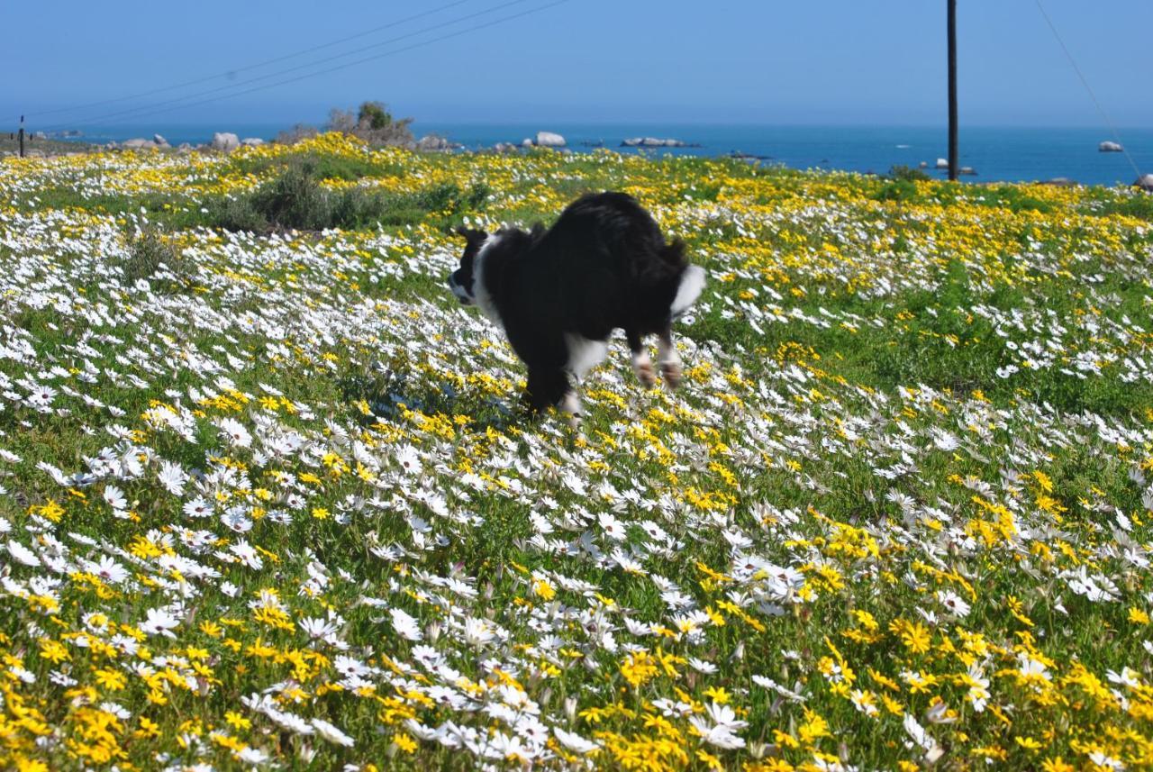 Stay At Bokkoms In Paternoster Self Catering Accommodation Buitenkant foto