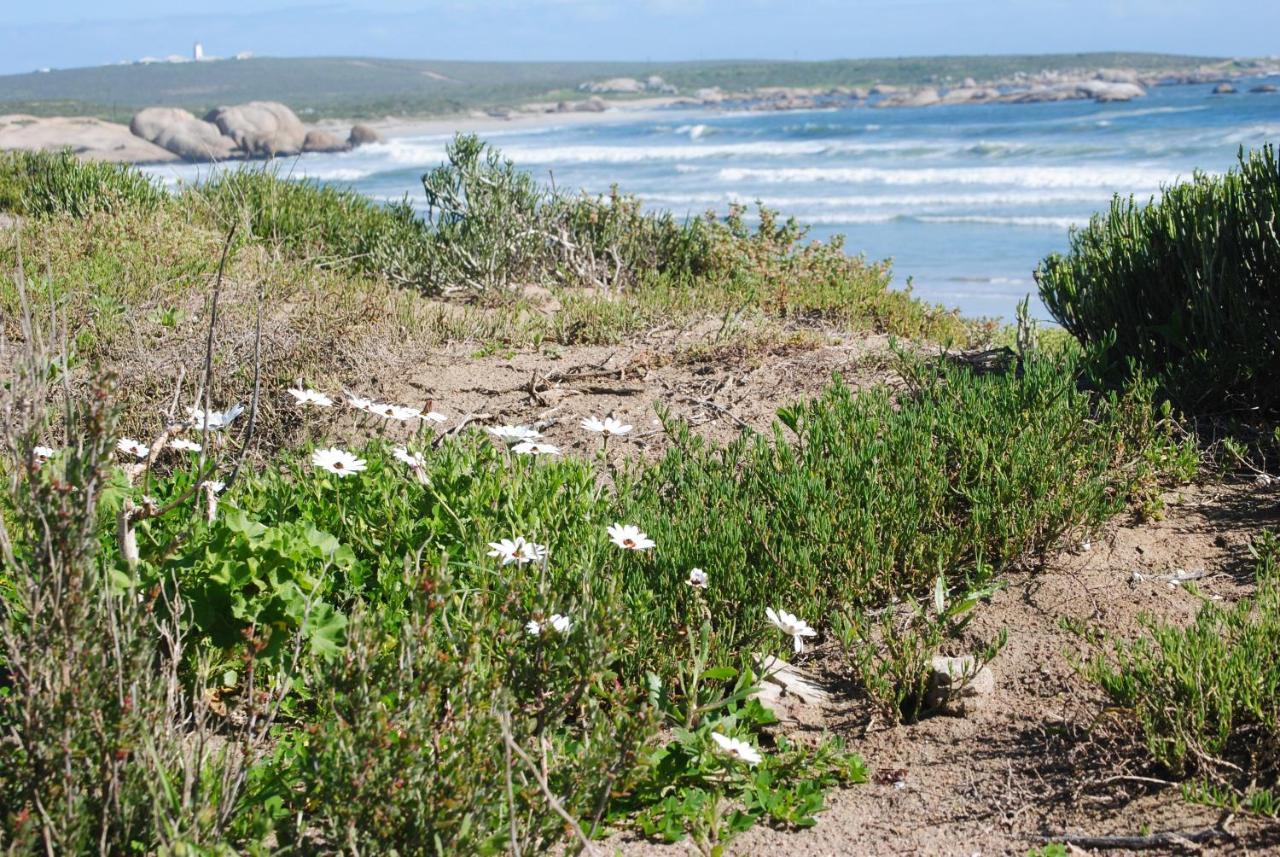 Stay At Bokkoms In Paternoster Self Catering Accommodation Buitenkant foto