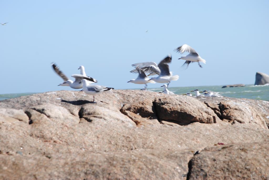 Stay At Bokkoms In Paternoster Self Catering Accommodation Buitenkant foto